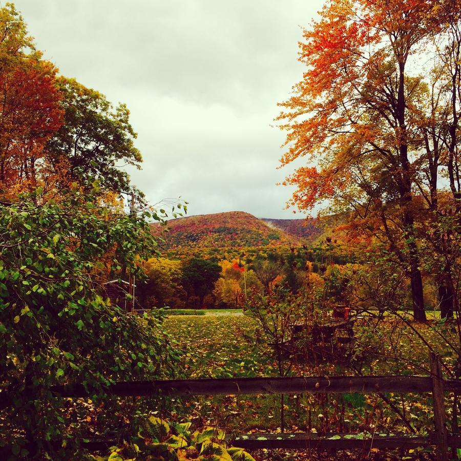 East Dorset Aerie Inn Of Vermont المظهر الخارجي الصورة